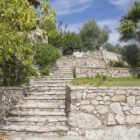 Mary's House